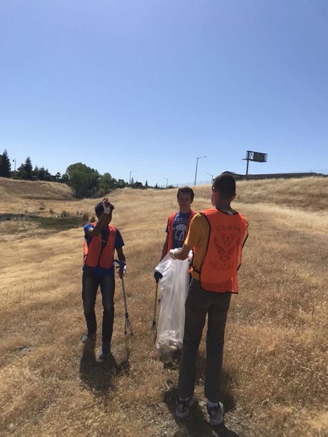 Students collecting litter
